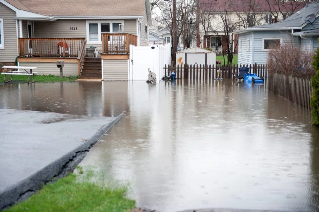 Backyard Flooding After Rain