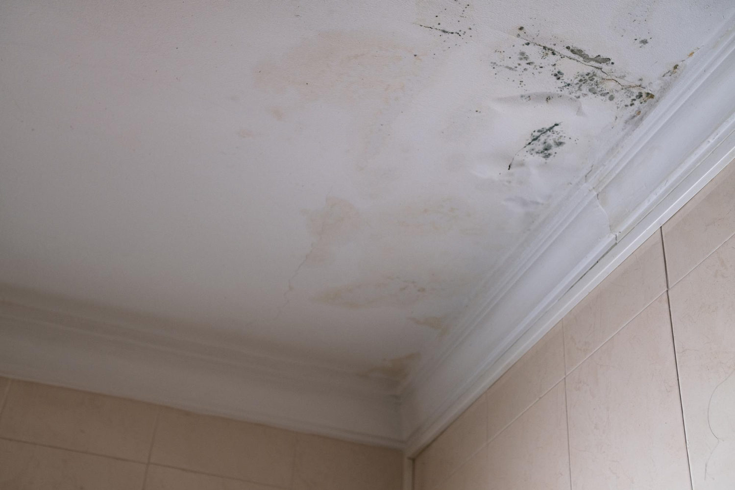 Signs of a Hidden Water Leak and How to Detect It